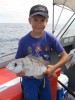 Nice little rob sea bream